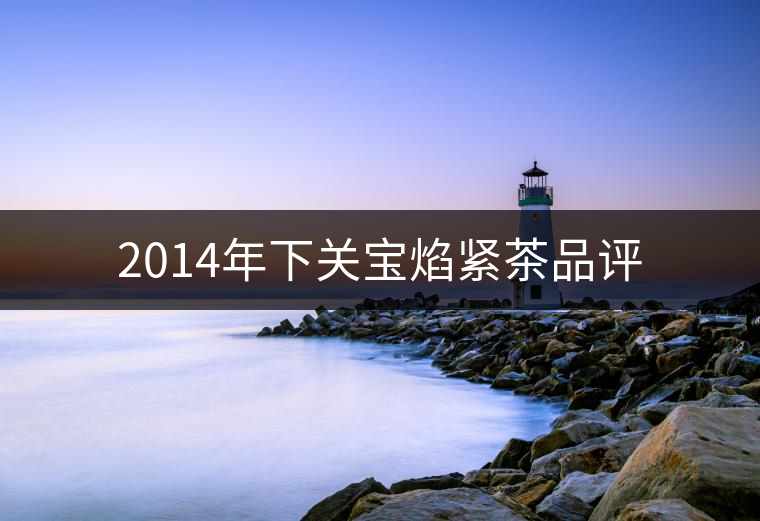 2014年下關(guān)寶焰緊茶品評 2014年下關(guān)寶焰緊茶品評