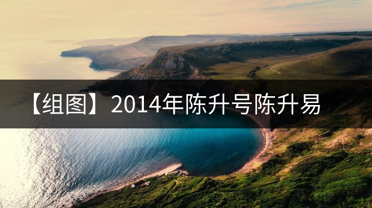 【組圖】2014年陳升號(hào)陳升易武開(kāi)湯