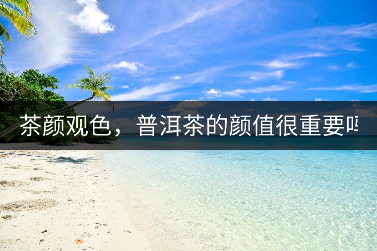 茶顏觀色，普洱茶的顏值很重要嗎？