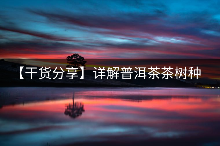 【干貨分享】詳解普洱茶茶樹(shù)種類(lèi)分類(lèi)