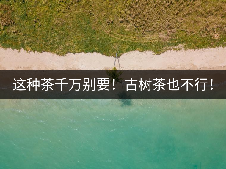 這種茶千萬別要！古樹茶也不行！