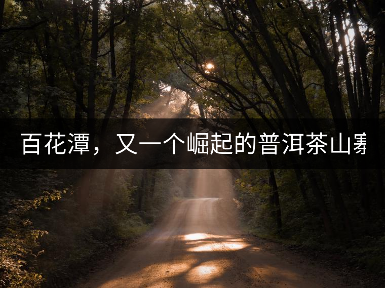 百花潭，又一個崛起的普洱茶山寨！