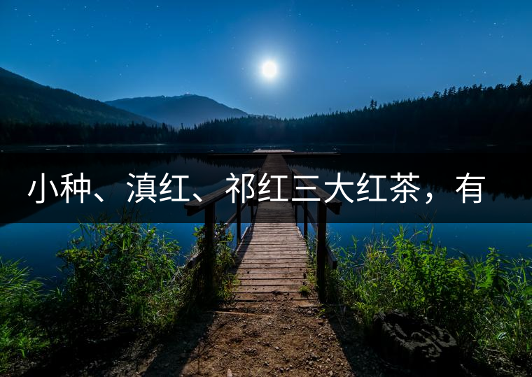 小種、滇紅、祁紅三大紅茶，有何區(qū)別