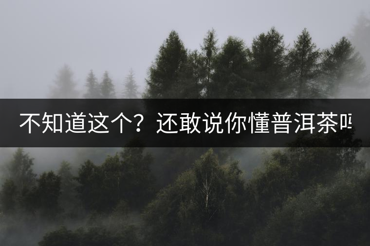 不知道這個？還敢說你懂普洱茶嗎？