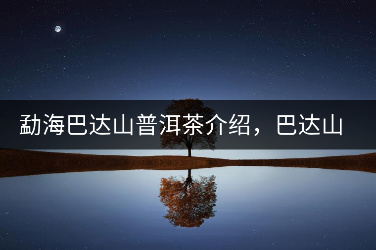 勐海巴達山普洱茶介紹，巴達山古樹茶口感特點