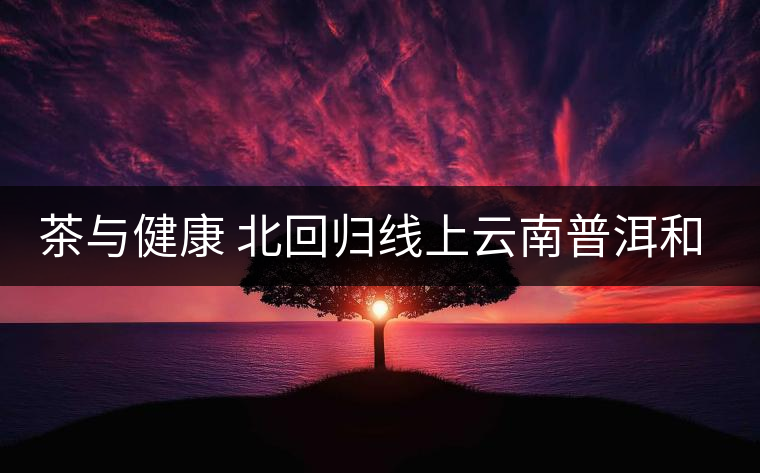 茶與健康 北回歸線上云南普洱和臺(tái)灣因茶結(jié)緣 茶與健康 北回歸線上云南普洱和臺(tái)灣因茶結(jié)緣