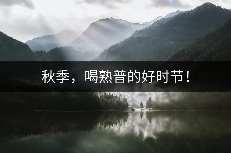 秋季，喝熟普的好時節(jié)！