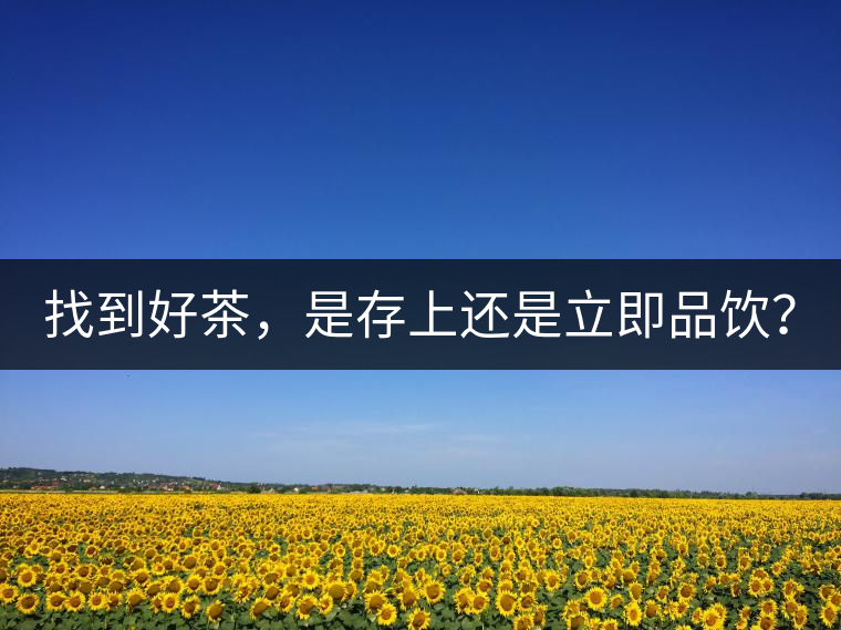 找到好茶，是存上還是立即品飲？