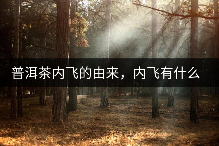 普洱茶內(nèi)飛的由來，內(nèi)飛有什么作用？