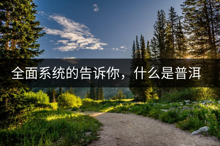 全面系統(tǒng)的告訴你，什么是普洱茶