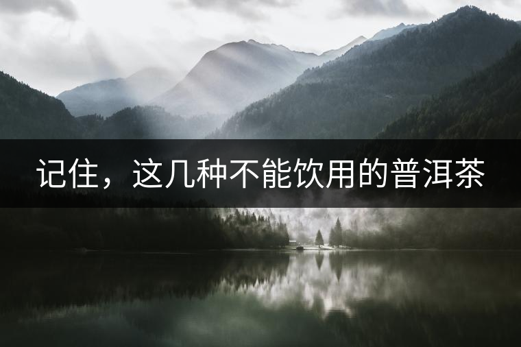 記住，這幾種不能飲用的普洱茶