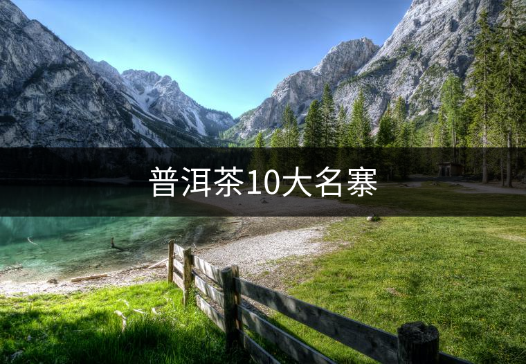 普洱茶10大名寨 普洱茶10大名寨