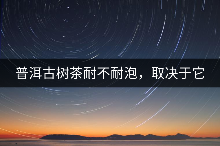 普洱古樹茶耐不耐泡，取決于它