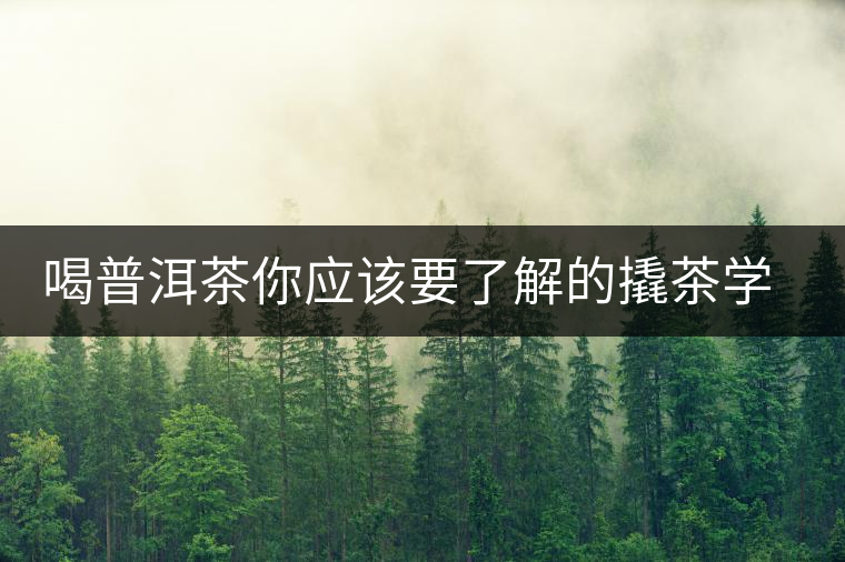 喝普洱茶你應該要了解的撬茶學問 喝普洱茶你應該要了解的撬茶學問