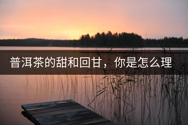 普洱茶的甜和回甘，你是怎么理解的？