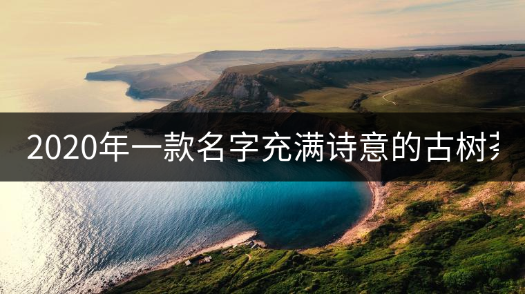 2020年一款名字充滿詩意的古樹茶---百花潭 2020年一款名字充滿詩意的古樹茶---百花潭