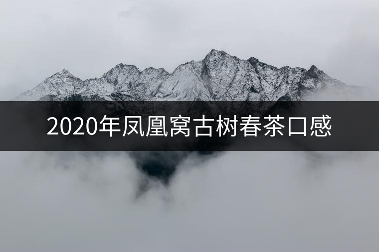 2020年鳳凰窩古樹(shù)春茶口感 2020年鳳凰窩古樹(shù)春茶口感