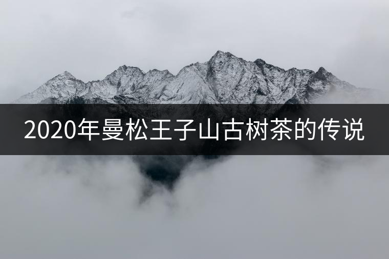 2020年曼松王子山古樹茶的傳說 2020年曼松王子山古樹茶的傳說