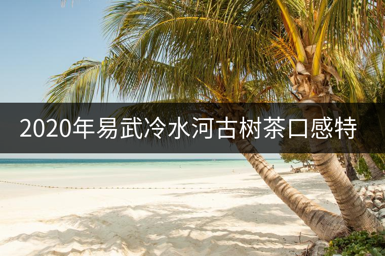 2020年易武冷水河古樹茶口感特點 2020年易武冷水河古樹茶口感特點
