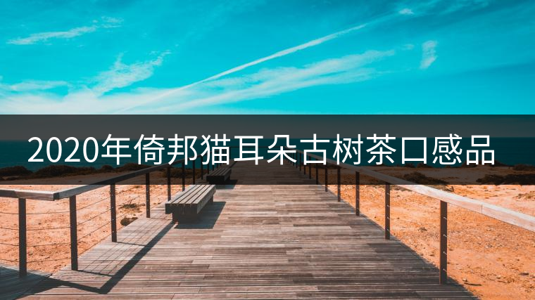 2020年倚邦貓耳朵古樹(shù)茶口感品質(zhì) 2020年倚邦貓耳朵古樹(shù)茶口感品質(zhì)