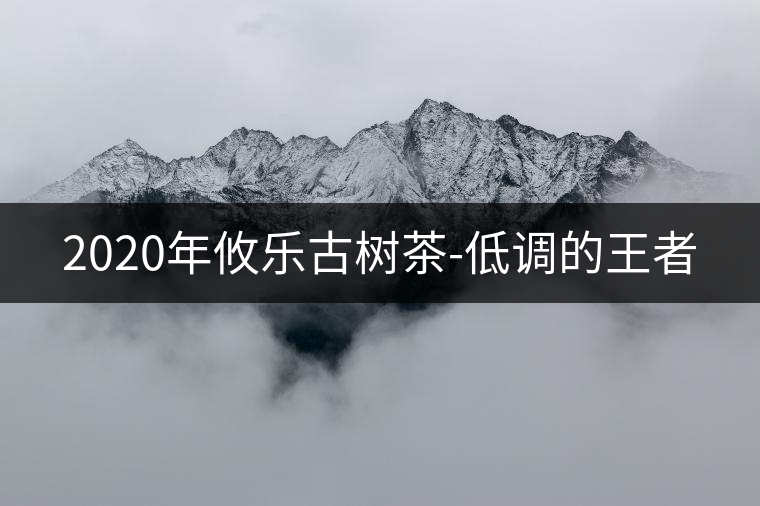 2020年攸樂古樹茶-低調(diào)的王者
