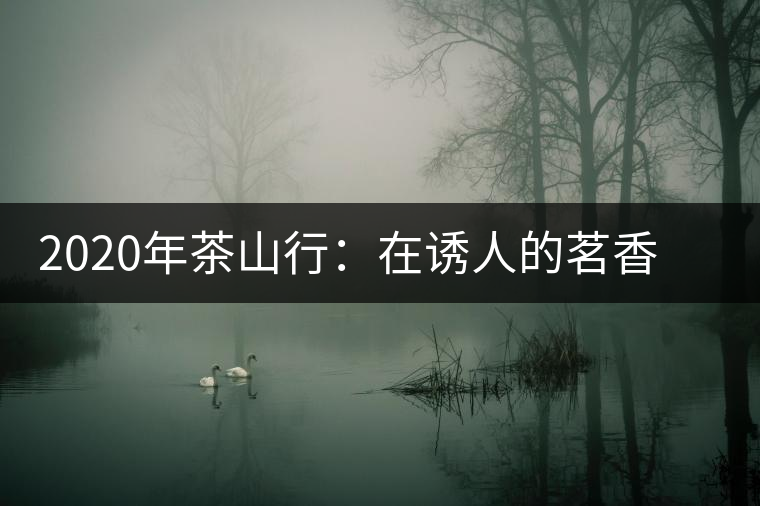 2020年茶山行:在誘人的茗香中走過悠悠困鹿山 2020年茶山行:在誘人的茗香中走過悠悠困鹿山