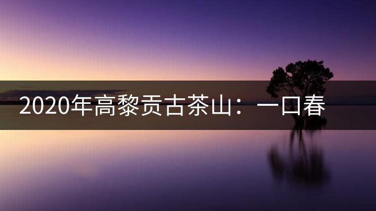 2020年高黎貢古茶山：一口春茶香，一口騰沖味