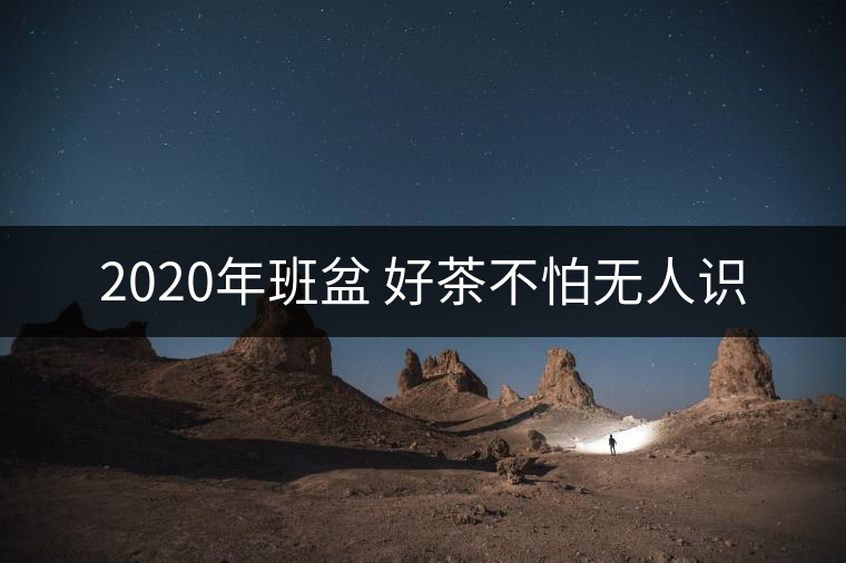 2020年班盆 好茶不怕無人識(shí)