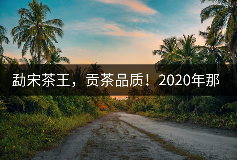 勐宋茶王，貢茶品質(zhì)！2020年那卡古樹青餅悠然而至！