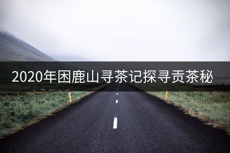 2020年困鹿山尋茶記探尋貢茶秘密 2020年困鹿山尋茶記探尋貢茶秘密