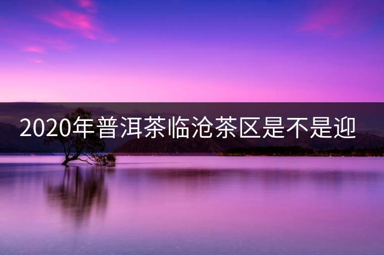 2020年普洱茶臨滄茶區(qū)是不是迎來最好機(jī)遇？
