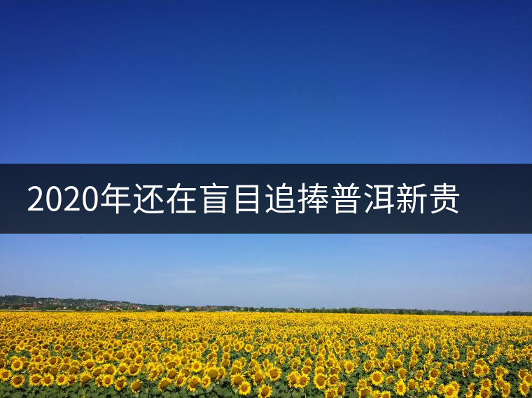 2020年還在盲目追捧普洱新貴“貓耳朵”？我們深入產(chǎn)區(qū)為你揭示最真實(shí)的“貓耳朵”！