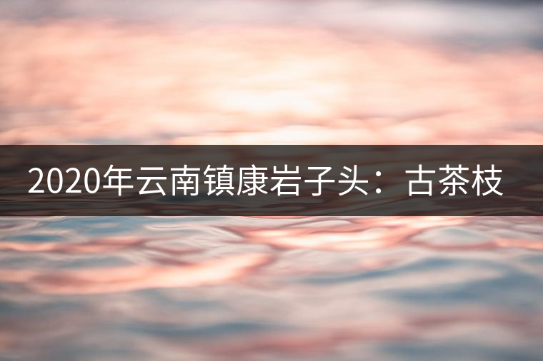2020年云南鎮(zhèn)康巖子頭:古茶枝頭采“黃金” 2020年云南鎮(zhèn)康巖子頭:古茶枝頭采“黃金”