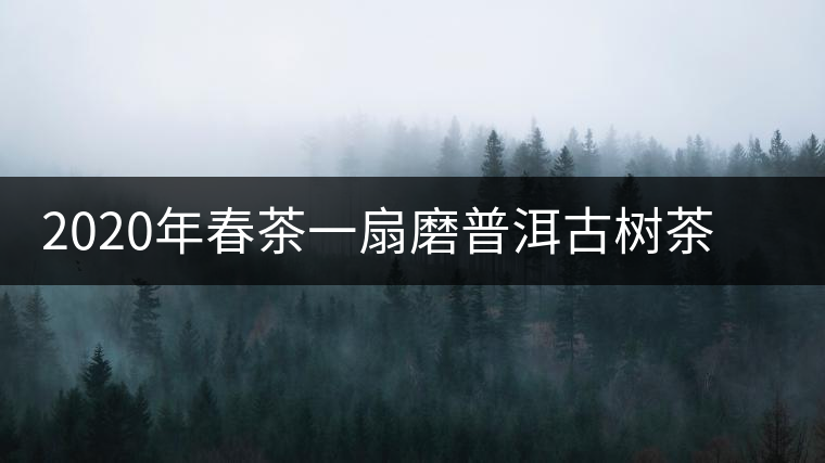 2020年春茶一扇磨普洱古樹茶價格是多少錢一斤 2020年春茶一扇磨普洱古樹茶價格是多少錢一斤