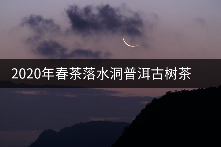 2020年春茶落水洞普洱古樹茶價(jià)格是多少錢一斤 2020年春茶落水洞普洱古樹茶價(jià)格是多少錢一斤