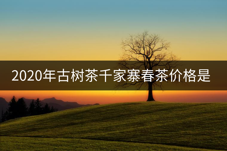 2020年古樹茶千家寨春茶價(jià)格是多少？