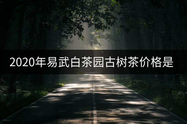 2020年易武白茶園古樹(shù)茶價(jià)格是多少? 2020年易武白茶園古樹(shù)茶價(jià)格是多少?