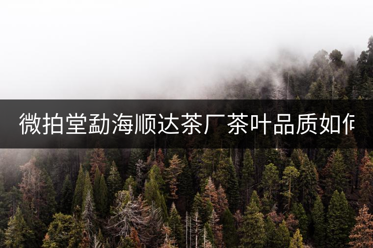 微拍堂勐海順達(dá)茶廠茶葉品質(zhì)如何？