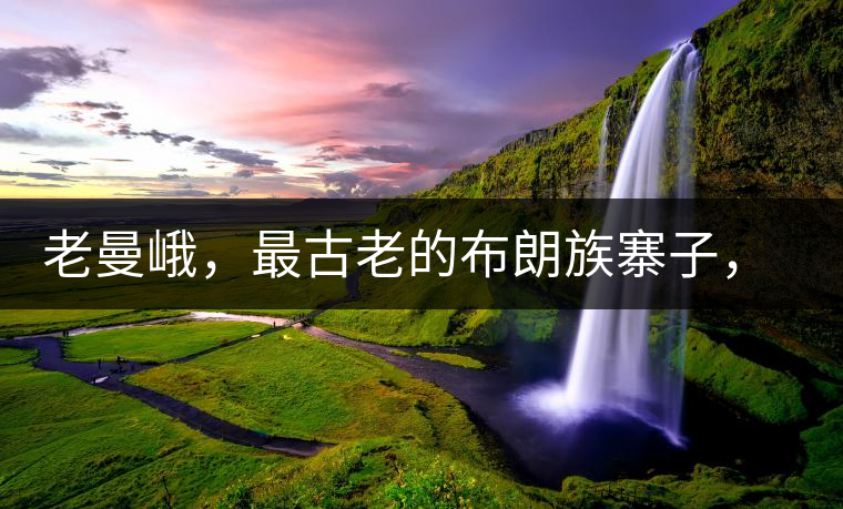 老曼峨，最古老的布朗族寨子，最極端的普洱茶