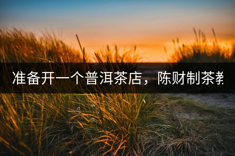 準(zhǔn)備開一個(gè)普洱茶店，陳財(cái)制茶教你怎么做！