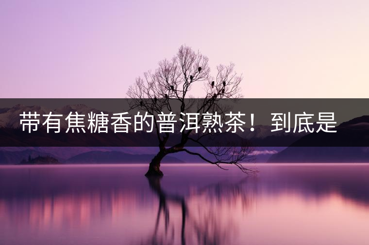 帶有焦糖香的普洱熟茶！到底是好是壞？