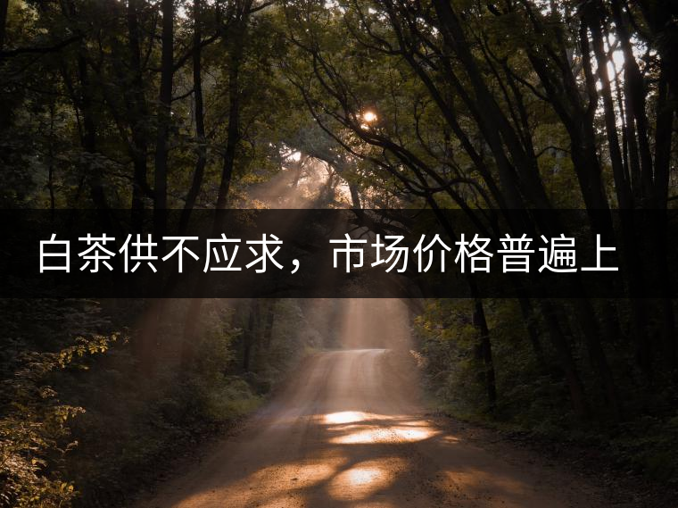 白茶供不應求，市場價格普遍上漲？