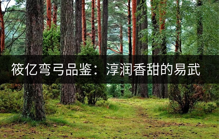 筱億彎弓品鑒:淳潤(rùn)香甜的易武高桿古樹 筱億彎弓品鑒:淳潤(rùn)香甜的易武高桿古樹