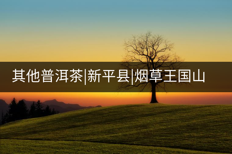 其他普洱茶|新平縣|煙草王國山頭茶 其他普洱茶|新平縣|煙草王國山頭茶