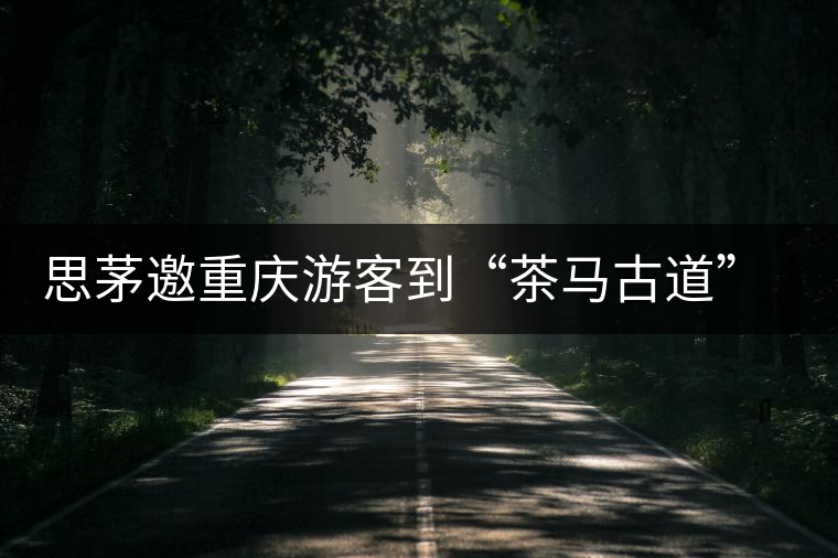 思茅邀重慶游客到“茶馬古道”體驗茶文化感受民族風情 思茅邀重慶游客到“茶馬古道”體驗茶文化感受民族風情