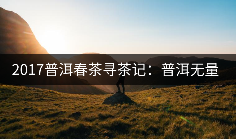 2017普洱春茶尋茶記:普洱無(wú)量山系列 2017普洱春茶尋茶記:普洱無(wú)量山系列