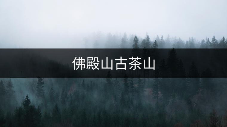 佛殿山古茶山