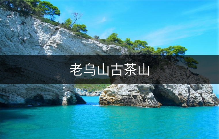 老烏山古茶山 老烏山古茶山