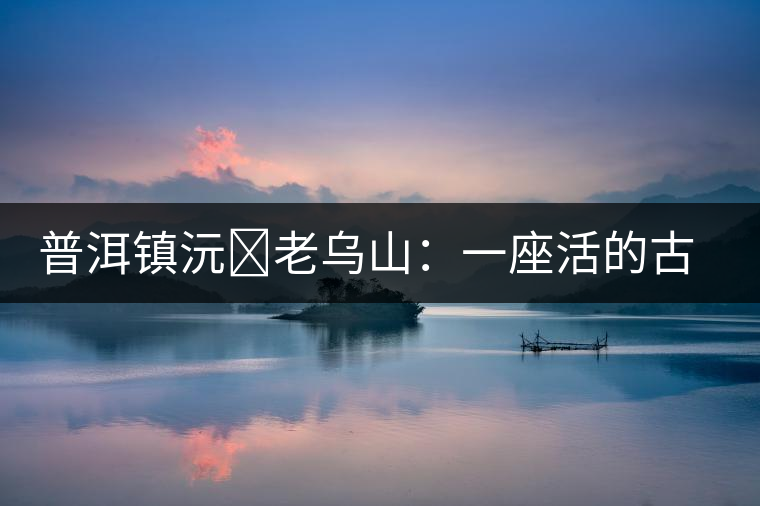普洱鎮(zhèn)沅?老烏山:一座活的古茶樹博物館 普洱鎮(zhèn)沅?老烏山:一座活的古茶樹博物館