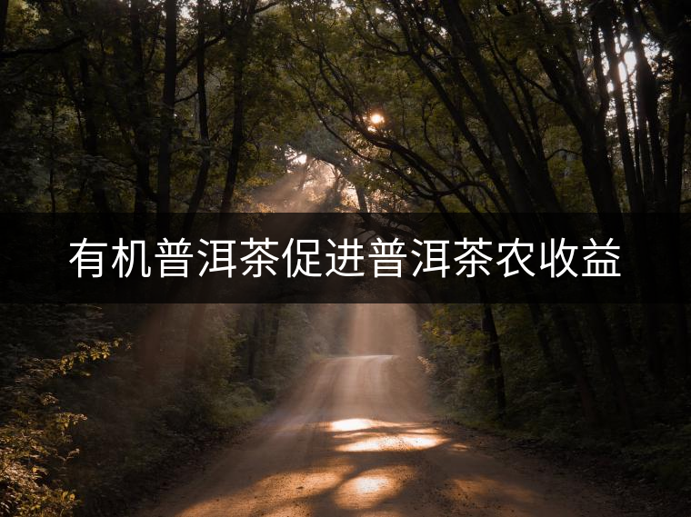 有機普洱茶促進普洱茶農(nóng)收益 有機普洱茶促進普洱茶農(nóng)收益